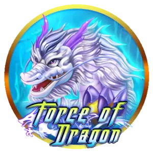 Casino Promotions
